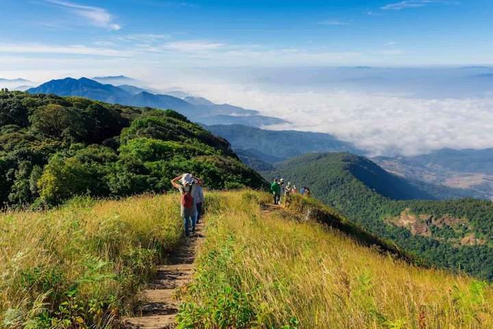 Trải nghiệm đường mòn xuyên rừng tại công viên Quốc gia Doi Inthanon
