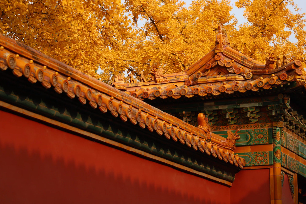 Buổi sáng sớm là thời điểm lý tưởng để bắt đầu hành trình khám phá Tử Cấm Thành