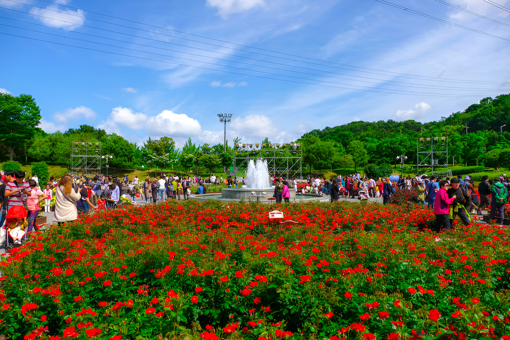 C&ocirc;ng vi&ecirc;n lớn Ulsan sở hữu cảnh sắc rực rỡ v&agrave;o m&ugrave;a h&egrave;