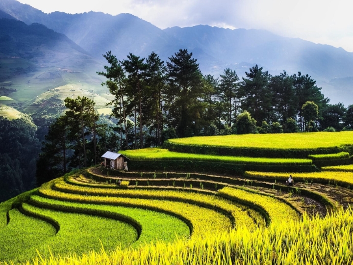 Phong cảnh đặc trưng của V&acirc;n Nam với n&uacute;i non h&ugrave;ng vĩ v&agrave; những c&aacute;nh đồng bậc thang xanh ng&aacute;t.