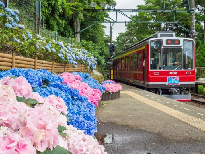 Ga t&agrave;u Hakone Tozan - điểm kết nối h&agrave;nh tr&igrave;nh đến Hakone.