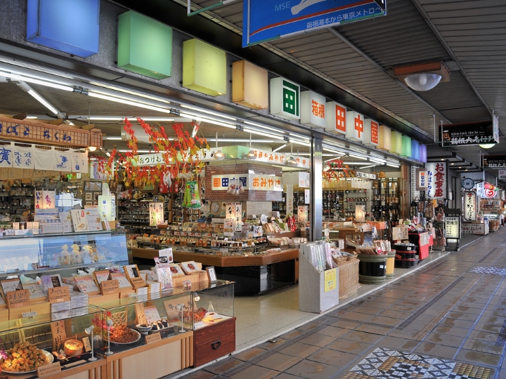 Phố mua sắm s&ocirc;i động Hakone Yumoto với nhiều đặc sản hấp dẫn.