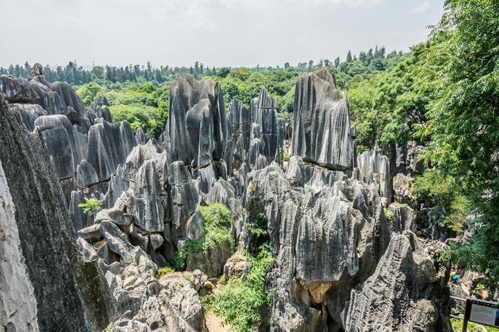 Thạch Lâm Nãi Cổ với những khối đá đen sừng sững, tạo nên cảnh quan hoang sơ và kỳ vĩ