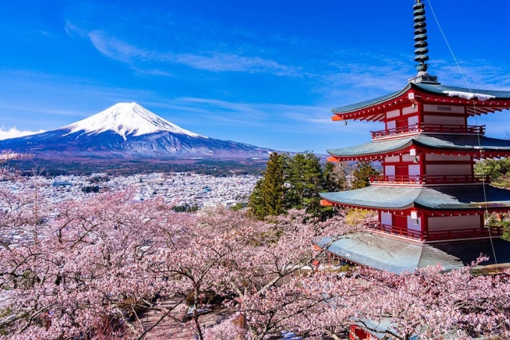 Yamanashi Nhật Bản có khung cảnh tuyệt đẹp với hoa anh đào nở rộ vào mùa xuân