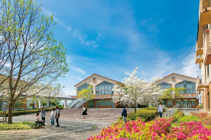 Bạn nên lựa chọn thời điểm thích hợp để đi du lịch để khám phá vẻ đẹp của tỉnh Yamnashi Nhật Bản