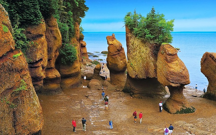 Vịnh Fundy (Canada)