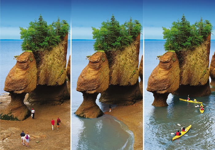 Vịnh Fundy (Canada)