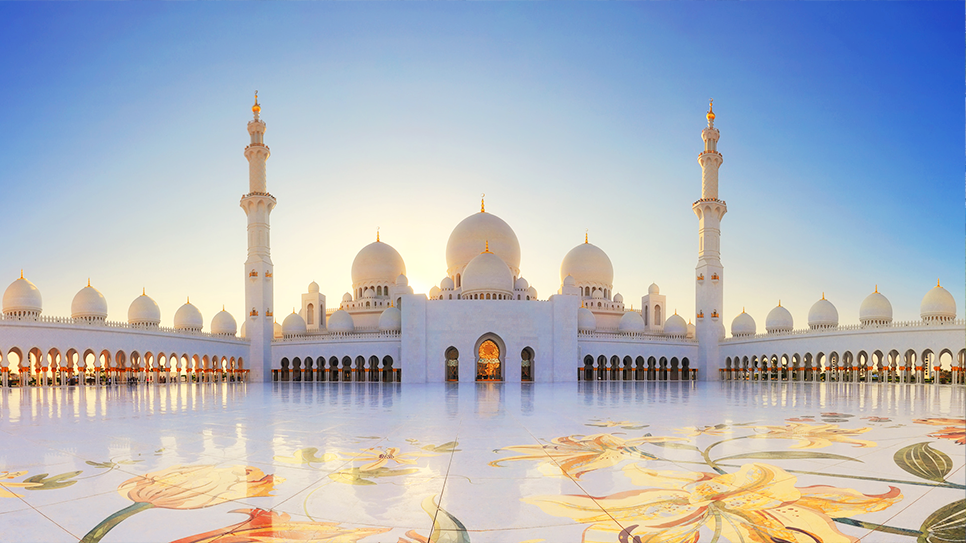 Sheikh Zayed