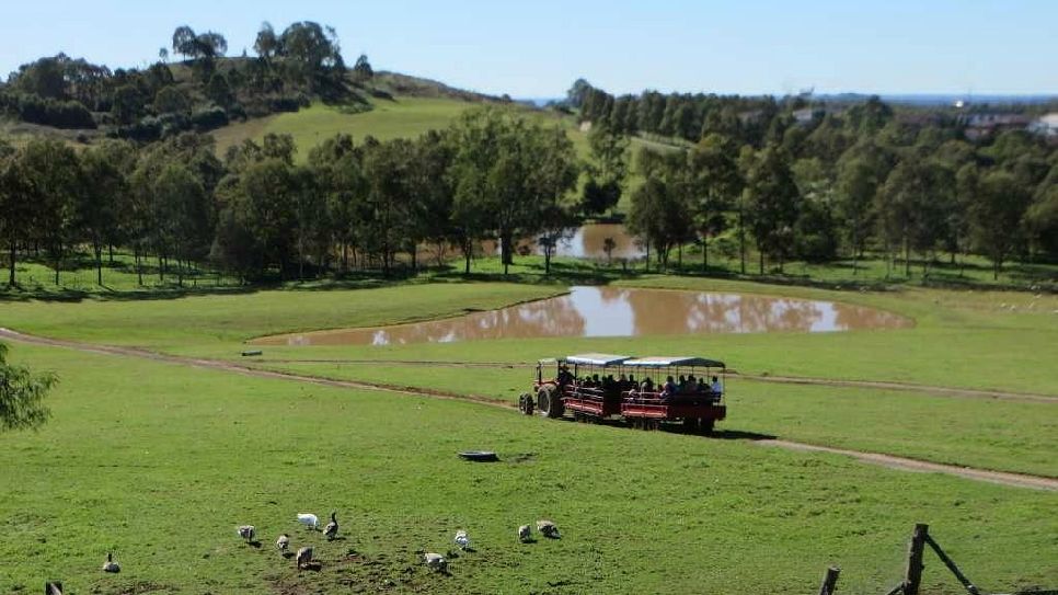 Calmsley Hill Farm