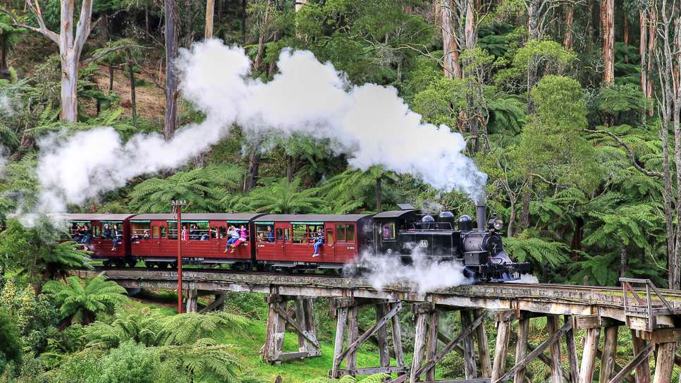 Công viên Dandenong Ranges