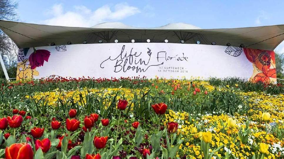 Lễ hội hoa Floriade