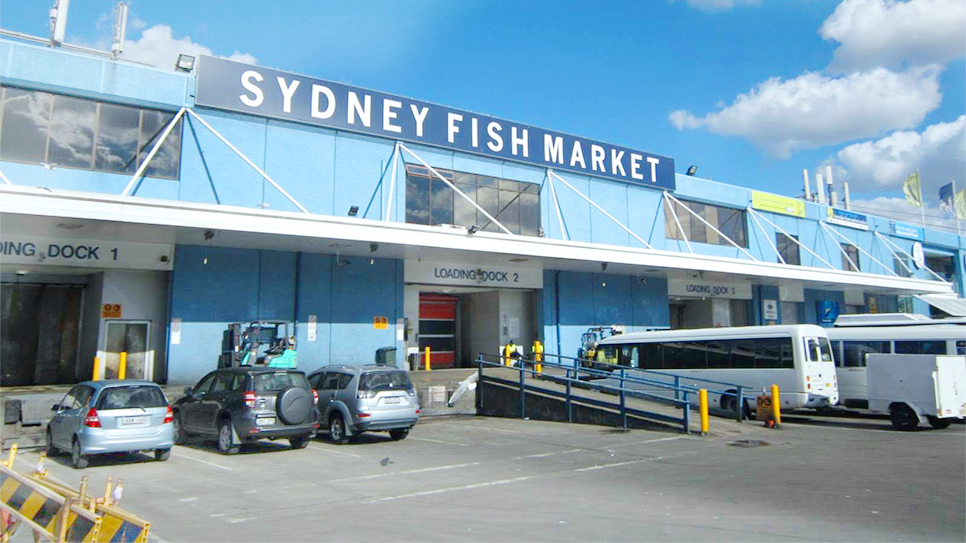 Chợ c&aacute; Sydney