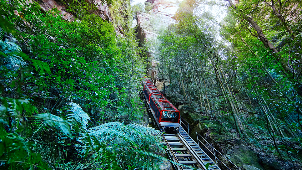 Công viên Scenic World