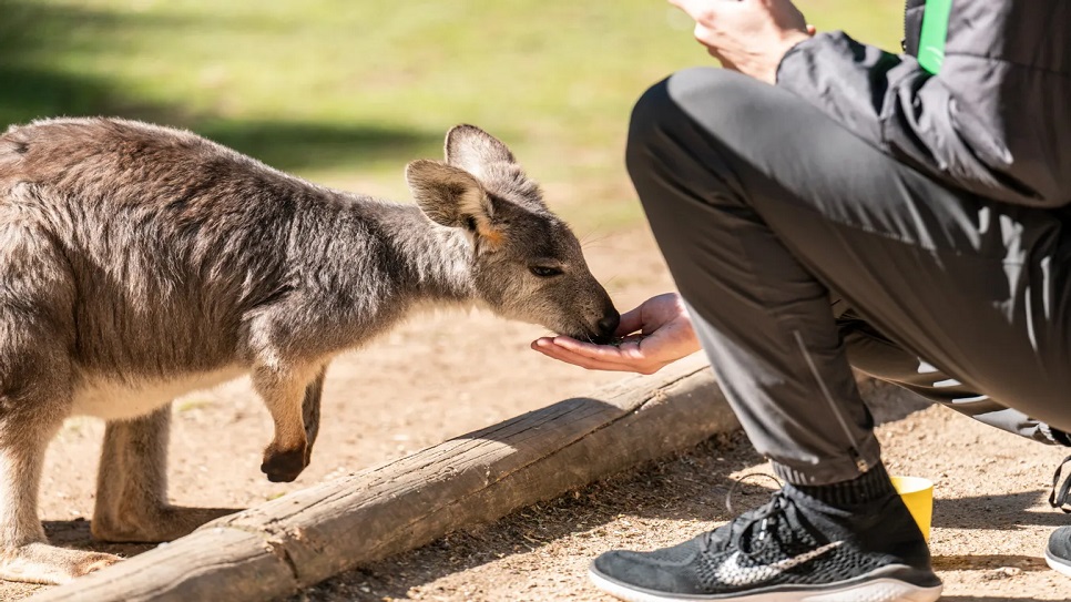 Wildlife Park