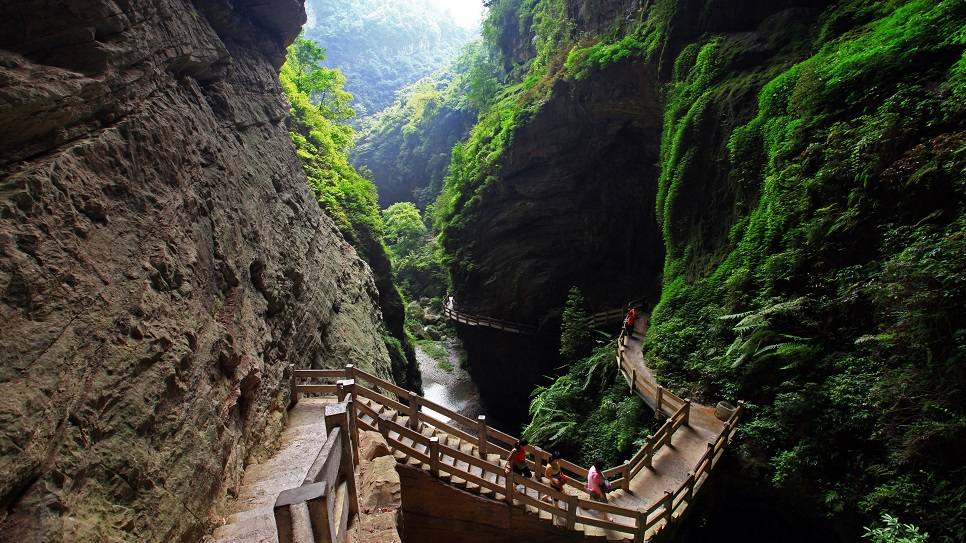 Long Thùy Giáp