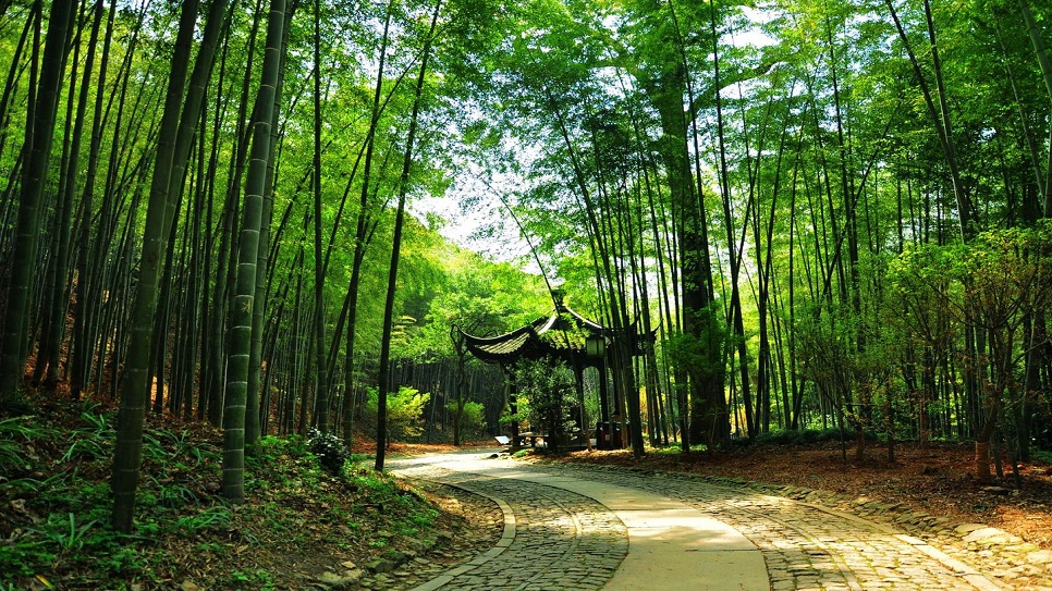 Khu thắng cảnh V&acirc;n Kh&ecirc; Tr&uacute;c K&iacute;nh