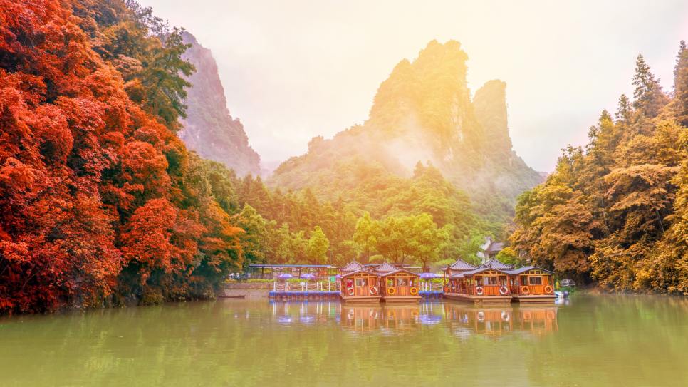 Hồ Bảo Phong