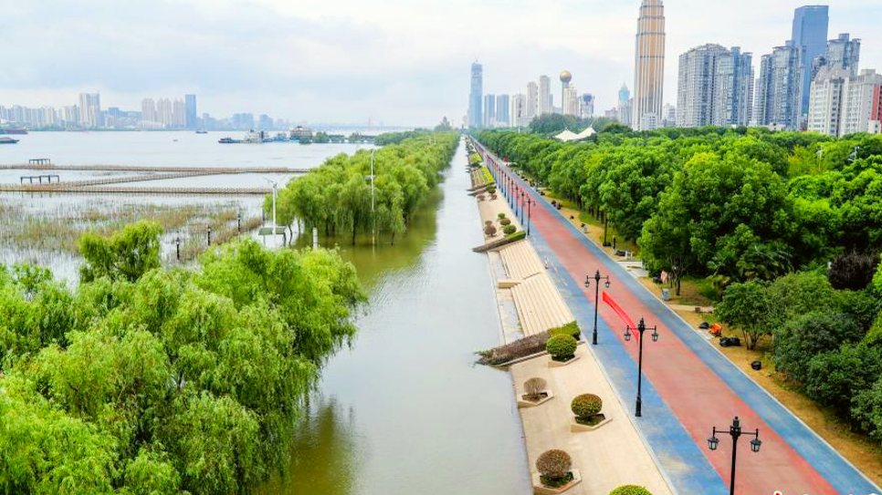 B&atilde;i H&aacute;n Khẩu Giang 
