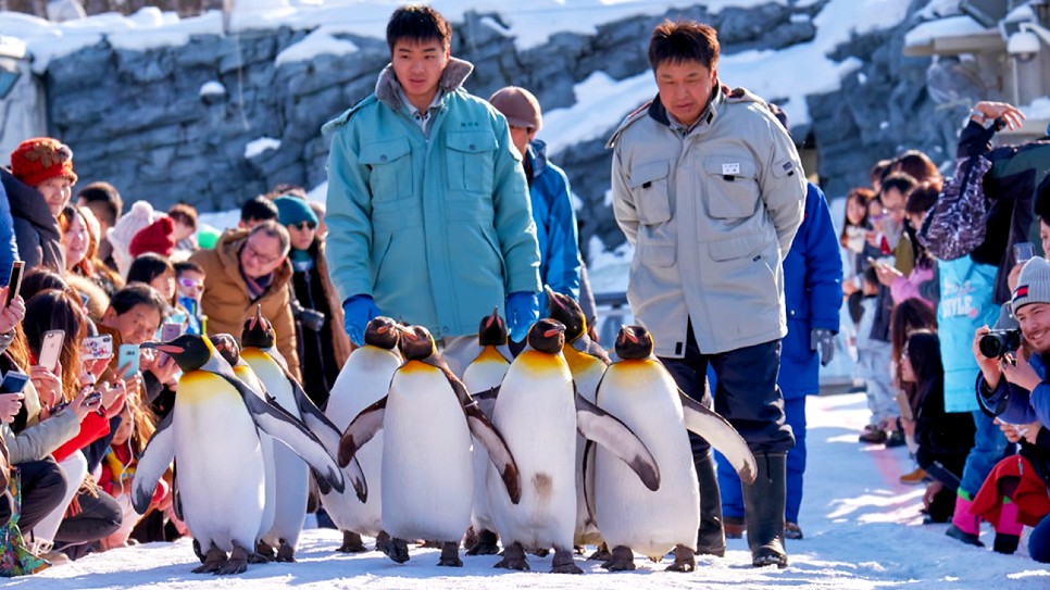 Vườn bách thú Asahiyama