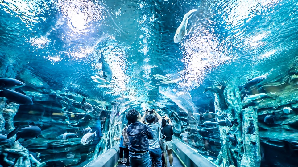 Lotte World Aquarium