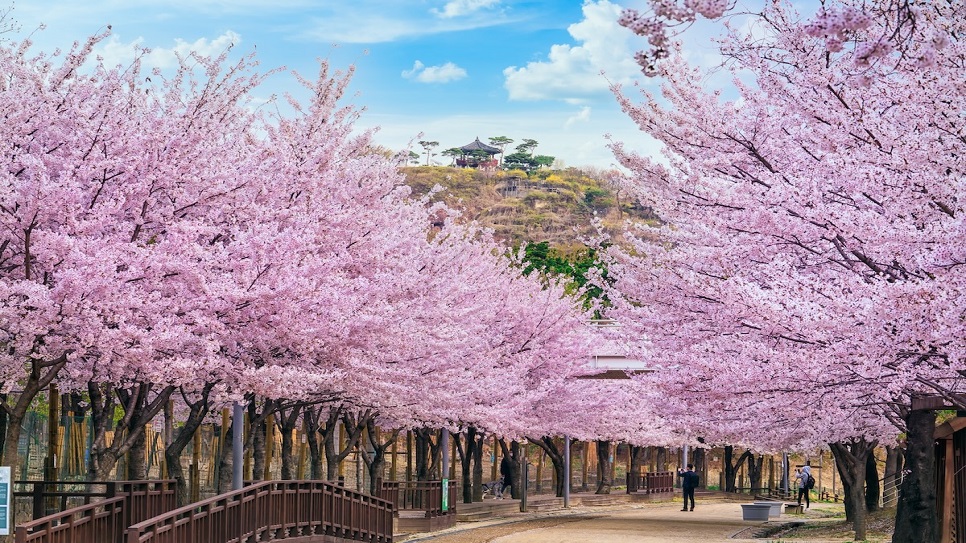 Công viên rừng Seoul