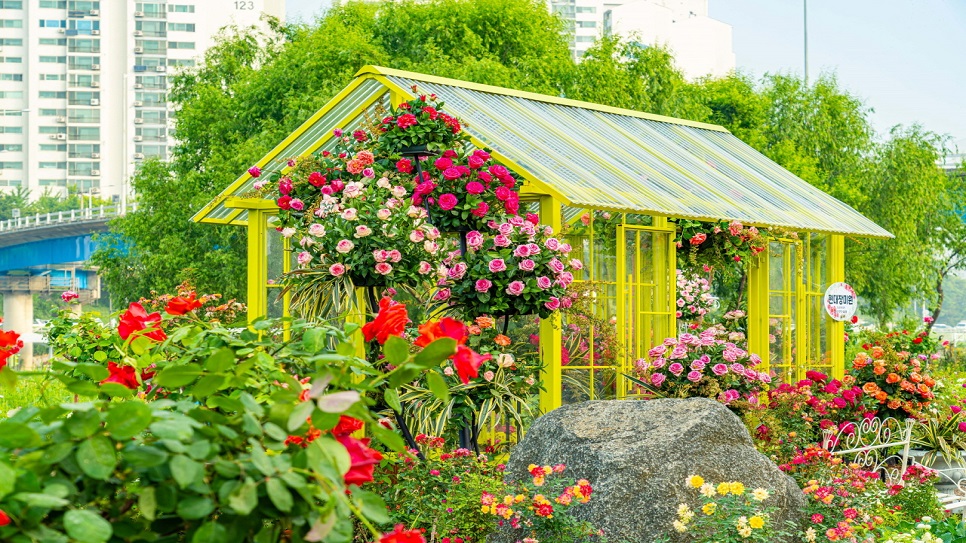 Chi&ecirc;m ngưỡng c&aacute;c t&aacute;c phẩm hoa hồng