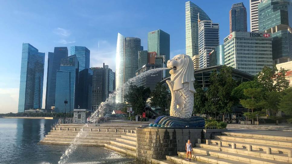 C&ocirc;ng vi&ecirc;n Sư Tử biển 