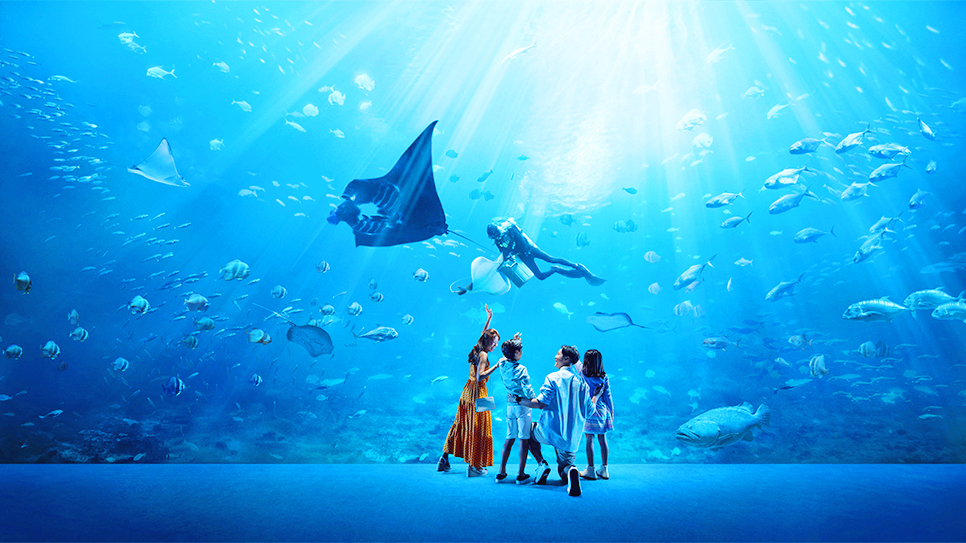 S.E.A Aquarium