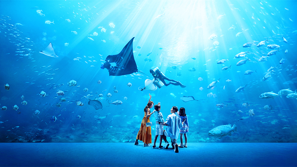 S.E.A Aquarium