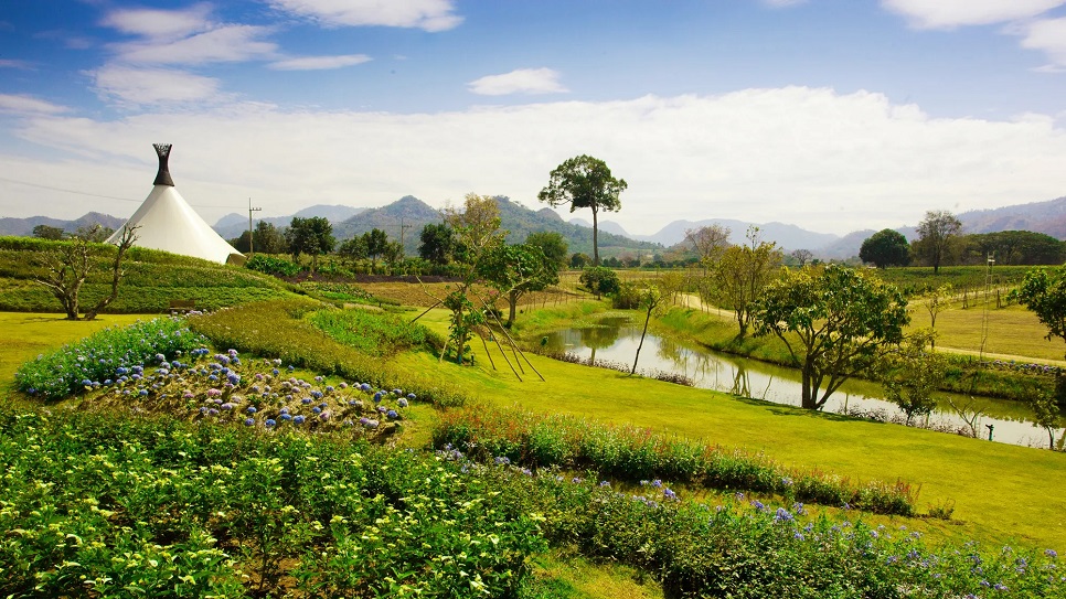Vườn nho PB Valley Winery
