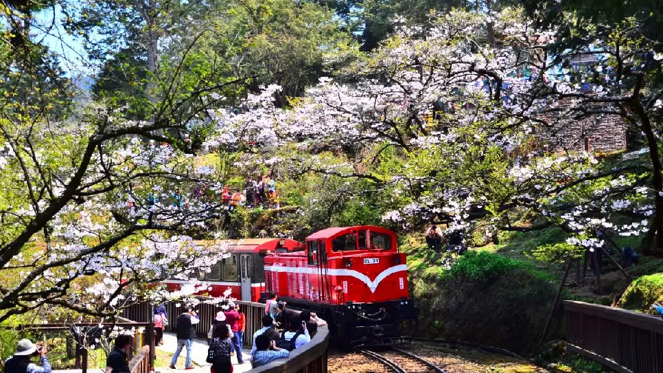 Vườn quốc gia A L&yacute; Sơn