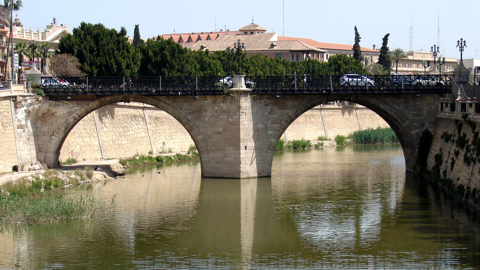 C&acirc;y cầu cổ Puente De Los Peligros