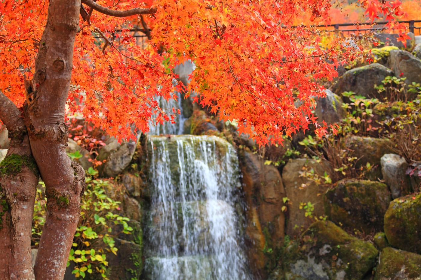 Seiryu-no-Sato