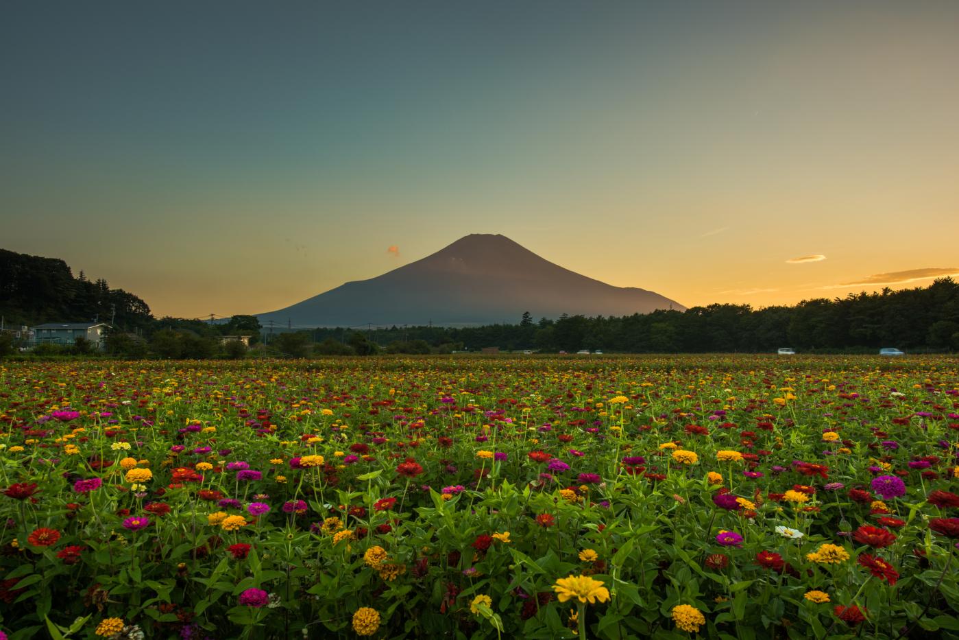 Công viên Yamanakako