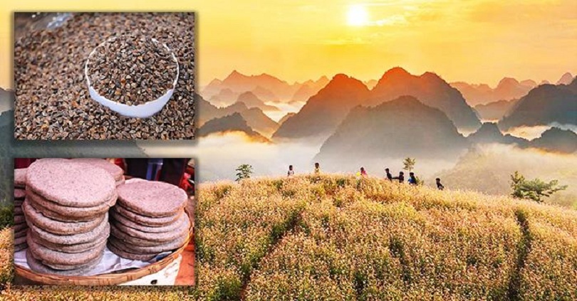 Bánh tam giác mạch