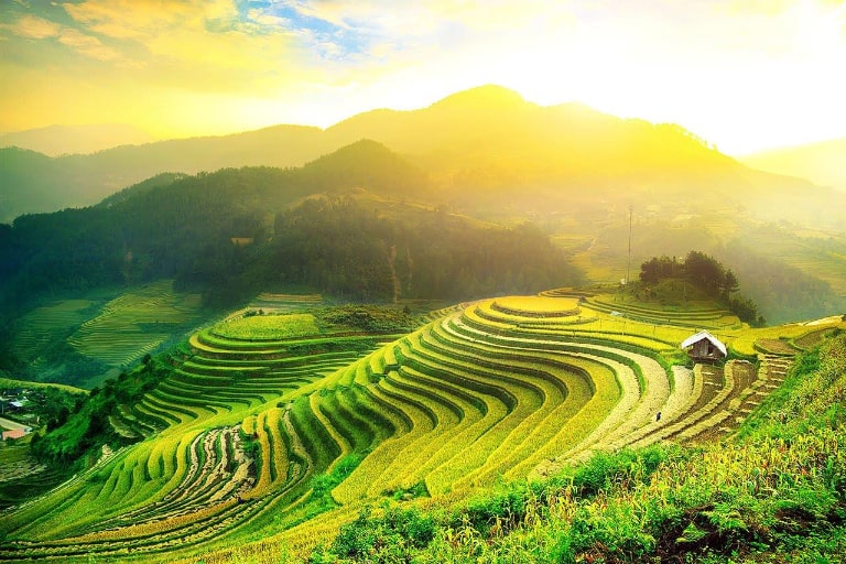 Mùa lúa chín rực vàng tại Hà Giang