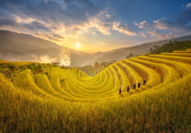 Những người nông dân chuẩn bị cho mùa thu hoạch