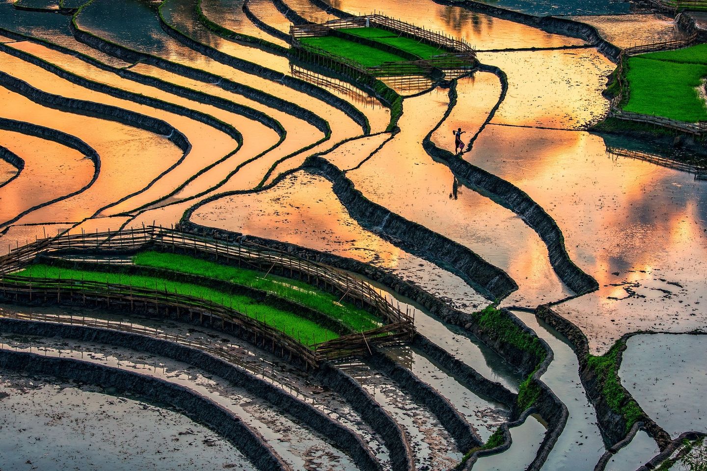 Hình ảnh mùa nước đổ chuẩn bị cho một vụ mùa sắp tới