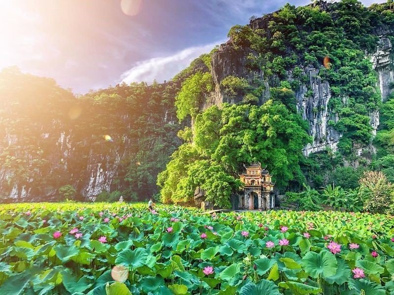 Đầm sen vào những ngày hè