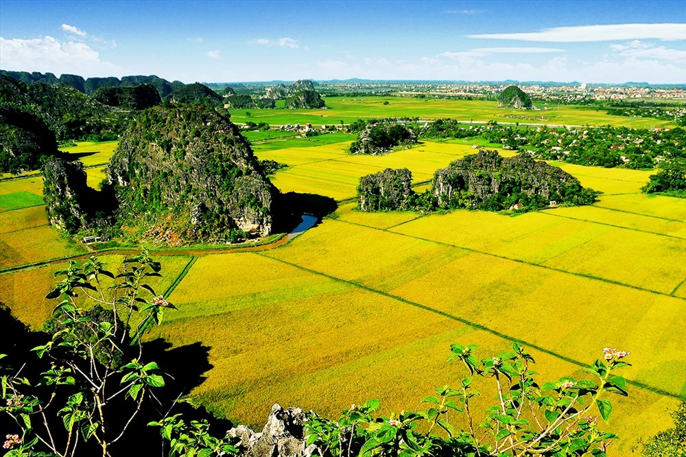 Cả vùng trời như rực trong ánh lửa vàng