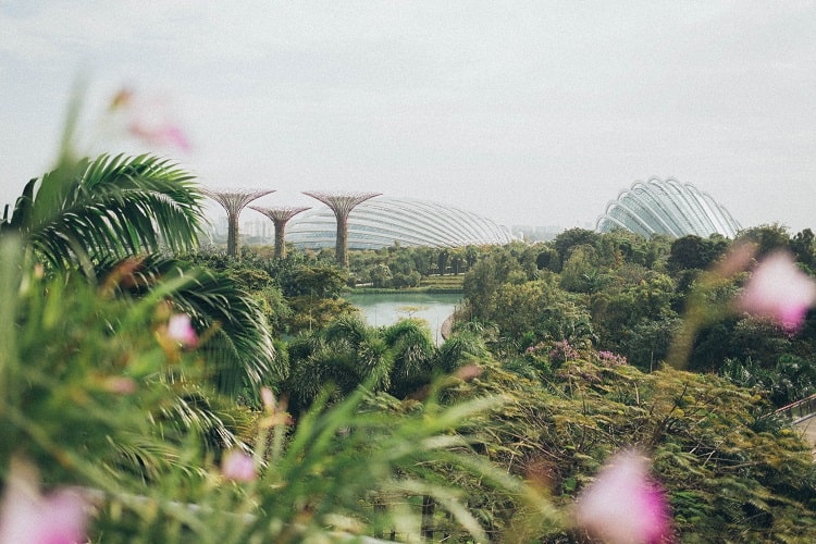 Công viên Gardens by the Bay – Kỳ quan của “đảo quốc sư tử”