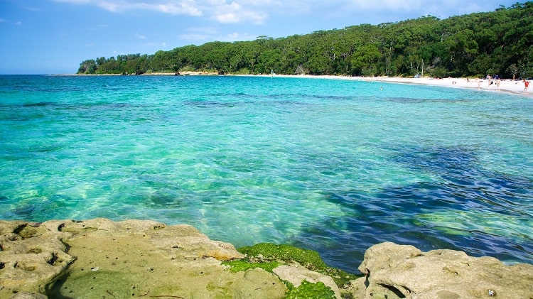 Jervis Bay – vùng vịnh đẹp nhất thế giới